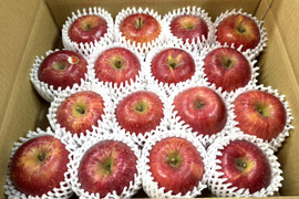 【岩手・紫波長岡果樹園】🍎いわて産特別栽培「サンふじ」5kg（家庭用16玉）