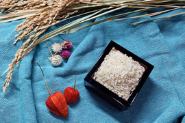 【お得！まとめ買い】自然栽培コシヒカリ白米25kg（富山県氷見産）