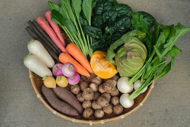 年末限定！多めのお野菜セット〈里芋は必ず1kg入ります！〉