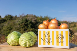 【今だけ！数量限定】大人気♪グリーンボール２玉と特別栽培淡路島玉ねぎ5キロ