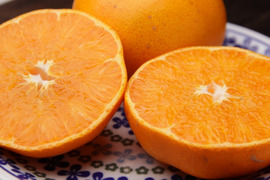 【 発送開始】代々橙せとか　家庭用３kg♪