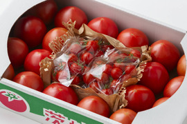 甘熟トマトの詰め合わせセット【大玉20個＆ミニ250ｇ×２】