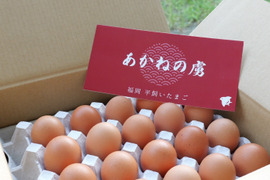 🎁【冬ギフト】🎁 冬のご挨拶に⛄️【あかねの虜】Lサイズ（40個入り） 28歳2児の母がプロデュースした話題の卵【お歳暮・お年賀など熨斗対応可能👌】