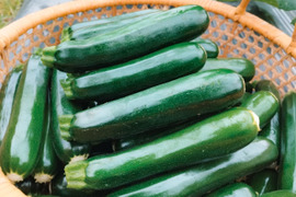 【京都産】ズッキーニ約2kg(8〜12本程度)｜農薬・化学肥料・除草剤不使用｜旨みたっぷりジューシーさが自慢の逸品