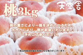 【夏のギフト・７月下旬】かたい桃「おどろき」約3kg・9～12玉１箱山梨県笛吹市八代町産