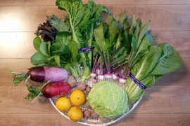 レア系もある季節のカラフル野菜セット