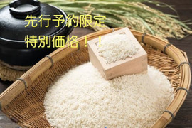 [予約品]令和8年度新米コシヒカリ‼️玄米20kg🌾先行予約価格💰