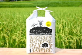 【令和8年産 新米】【玄米】『自然米15kg』最高級！ お弁当に最適♪ 　じんわり甘～い！コシヒカリ お米　冷めてもおいしい♪