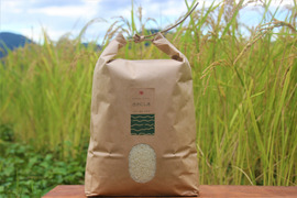 自然栽培ササニシキ　天日干し　1kg「2022年産」※ポスト投函配送