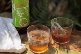 20本セット暑い夏を乗り切ろう！クエン酸たっぷり 梅シロップ  4倍希釈時25%うめ果汁入り飲料 （550ml×20本）栽培期間中農薬不使用