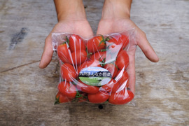 肉厚でジューシー！山の恵みがつくるアイコミニトマト (1kg)