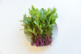 和らぎ農法　赤軸水菜（1袋）