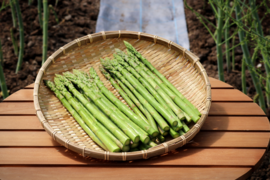 ＼ちょっと訳ありB品／ 北海道日高産 うまぶしアスパラ 夏芽 (サイズ無選別6kg)