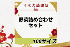 本日今年最後のお野菜セット‼️キャベツ入‼️