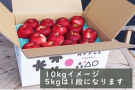 特選🍎贈り物にも!希少品種「彩香」10kg 節減対象農薬・化学肥料不使用で安全・安心のりんごです。