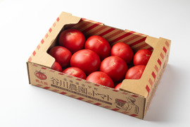 【北海道産】🍅樹上熟3段採り🍅桃太郎トマト2kg箱〈訳あり品〉
