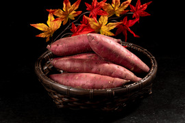 ⭐︎訳あり⭐︎北海道初【野菜ソムリエサミット2年連続 金賞受賞】熟成べにはるか/洗浄済 / (5kg)