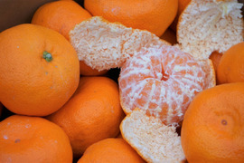 愛媛県産　かじ坊　みかん大玉！
家庭用　10ｋｇ！！