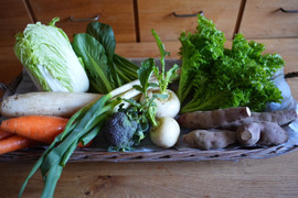 南阿蘇の2月の野菜セット【7品前後】農薬等不使用栽培