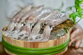 【総注文数1000件突破！】夏のお勧め😆高知の剣先イカ約1kg【手釣り】