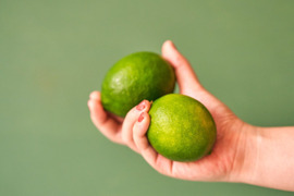 箱込約1㌔　グリーンレモン　収穫後にワックス、防腐剤、防カビ剤不使用
