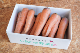 有機にんじん【規格外人参一部使用】４.５kg