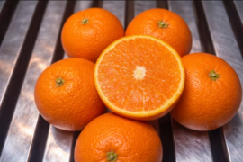 飲む柑橘！？【きよみオレンジ家庭用】春にお勧めの品種