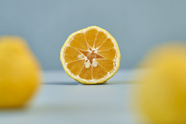 箱込約1㌔　媛小春　リピート率高い　黄色いけど酸味のない春を告げる味