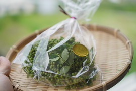 香り豊かな生山椒！今しかない！残り1セット！100g