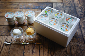 まるで生の果実みたい　新発売　果樹園のジェラート『柑橘シャーベット食べ比べセット』６種類12個入り　配達日時指定便 杉山農園