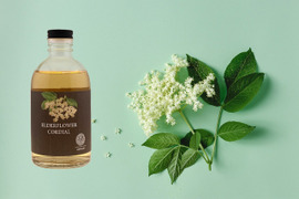 🌱エルダーフラワーコーディアル🌱岡山県産エルダーフラワー 「Kocomo's Elderflower Cordial」300ml