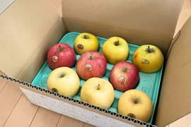 ★11月中旬発送★【みんなで食べ比べ🍎】おまかせりんご家庭用3kg（7~12玉）