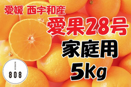 【早割】愛果28号（まどんな）愛媛県 西宇和産 みかん　家庭用　5キロ　※11月下旬～配送予定
