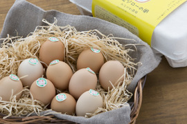 農場直送、土佐ジロー有精卵6個入り×8箱（48個）