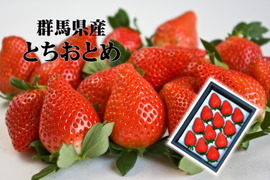 【群馬県産】高級いちご♪とちおとめ化粧箱