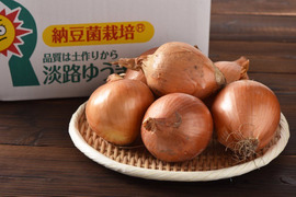 最終数量限定　！！淡路島玉ねぎ　訳あり品 8ｋｇ　お買い得！残留農薬不検出。（沖縄・北海道・離島地区以外）