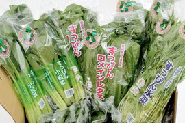 有機JAS認定　冬のすっぴん有機野菜セット(12袋)【冷蔵便】