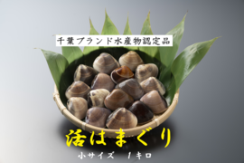 旨い‼️柔らかく、ふっくら
パスタにどーぞ♪お味噌汁も美味しいですよ(^^)
千葉県産地蛤　小サイズ1kg位入り
/17〜25個位入り