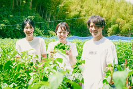 子供も生で食べる！　転換期間中有機ピーマン 1kg