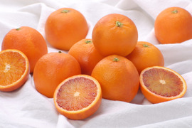 ブラッドオレンジ5㎏（タロッコ）