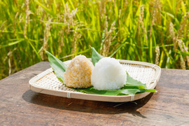 【食べ比べ】令和5年産　特別栽培米つや姫　精白米3kg　玄米5㎏