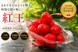 ※数量限定※新品種　紅王登場！！！山形県産　【500円サイズ】　2L〜5L　父の日　ギフト　贈答用　家庭用