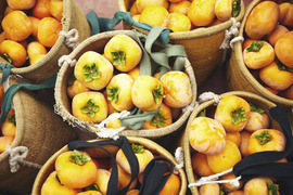 【奈良・吉野産】特別栽培たねなし柿　昔ながらの渋抜き方法で新鮮、甘い！（2Lサイズ・10ｋｇ）
