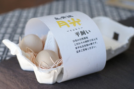 【食べ比べ】烏骨鶏卵（6個）と赤玉卵（20個）NANTAIファーム2種の産みたて卵セット【ﾃﾚﾋﾞ東京昼めし旅で紹介されました！】