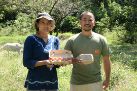 『初回限定　お試し１２個』
あっさり美味しい平飼い有精卵🥚✨