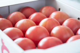 旨味がジュワッと♪昔ながらの味わい‼️「うみとまと32〜20玉」【おすすめの食べ方付き】