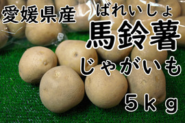 【愛媛県産】馬鈴薯 ばれいしょ じゃがいも 5㎏