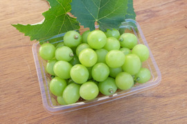 【食べる喜び・贈る喜び】★数量限定・ご家庭用★粒々シャインマスカット　1kg