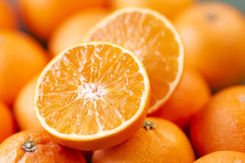 マニアが好む超小粒マドンナ　　箱込約2㌔