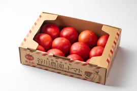 【北海道産】🍅樹上熟3段採り🍅桃太郎トマト2kg箱〈正品〉